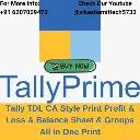 Tally TDL CA Style Print Profit & Loss & Balance Sheet & Groups All in One Print